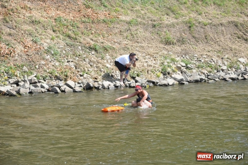 Zdjęcie w galerii na portalu naszraciborz.pl: Morsy spacerkiem, reszta powiosłuje albo włączy silniki. Skąd ruszy 22. Pływadło? wiadomości z regionu