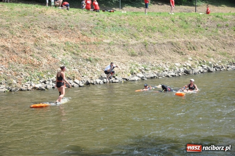 Zdjęcie w galerii na portalu naszraciborz.pl: Morsy spacerkiem, reszta powiosłuje albo włączy silniki. Skąd ruszy 22. Pływadło? wiadomości z regionu