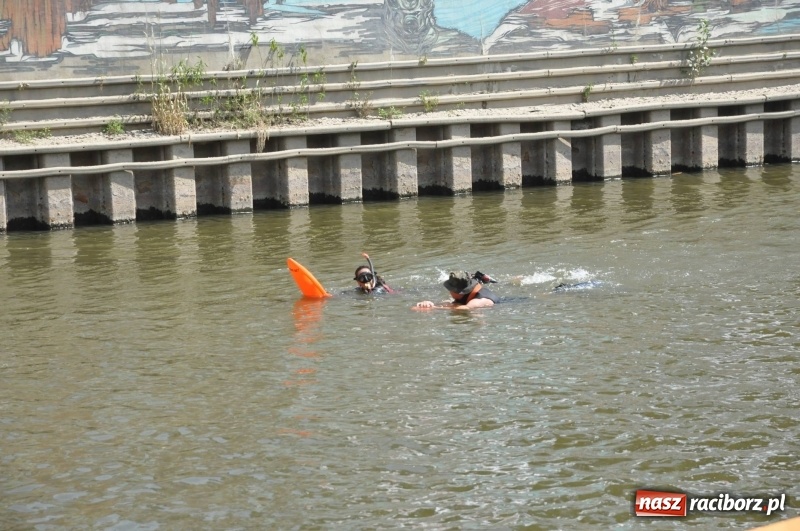 Zdjęcie w galerii na portalu naszraciborz.pl: Morsy spacerkiem, reszta powiosłuje albo włączy silniki. Skąd ruszy 22. Pływadło? wiadomości z regionu