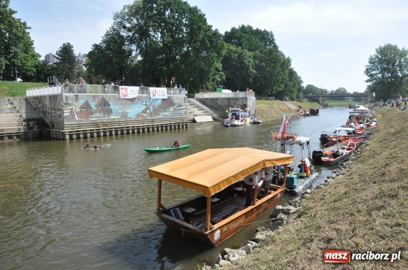 Zdjęcie w galerii na portalu naszraciborz.pl: Morsy spacerkiem, reszta powiosłuje albo włączy silniki. Skąd ruszy 22. Pływadło? wiadomości z regionu