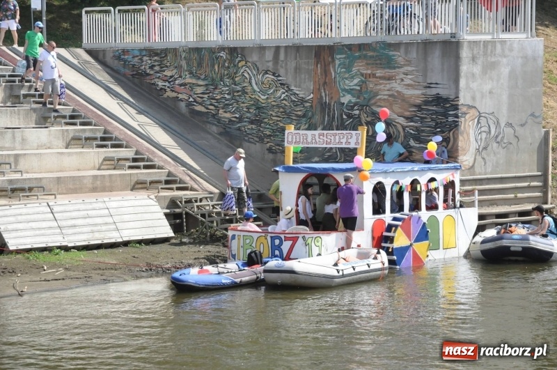 Zdjęcie w galerii na portalu naszraciborz.pl: Morsy spacerkiem, reszta powiosłuje albo włączy silniki. Skąd ruszy 22. Pływadło? wiadomości z regionu