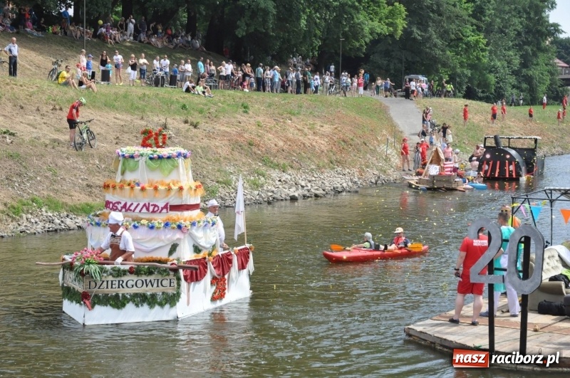 Zdjęcie w galerii na portalu naszraciborz.pl: Morsy spacerkiem, reszta powiosłuje albo włączy silniki. Skąd ruszy 22. Pływadło? wiadomości z regionu