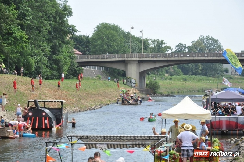 Zdjęcie w galerii na portalu naszraciborz.pl: Morsy spacerkiem, reszta powiosłuje albo włączy silniki. Skąd ruszy 22. Pływadło? wiadomości z regionu