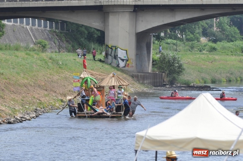 Zdjęcie w galerii na portalu naszraciborz.pl: Morsy spacerkiem, reszta powiosłuje albo włączy silniki. Skąd ruszy 22. Pływadło? wiadomości z regionu