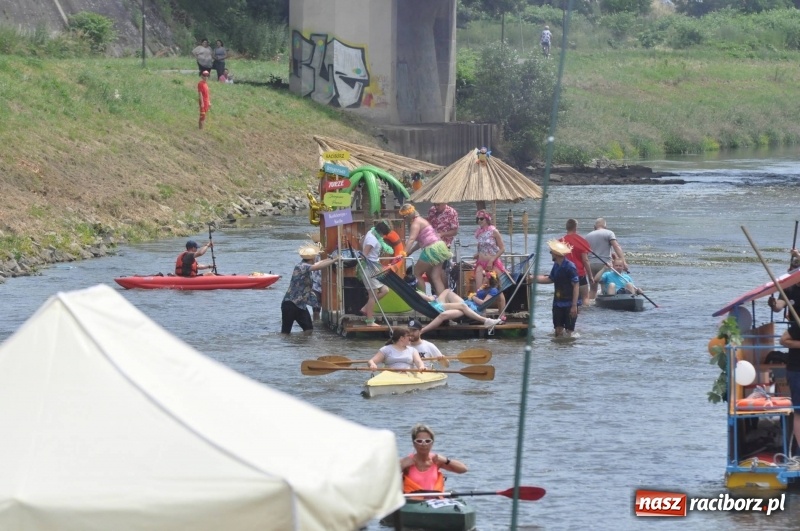 Zdjęcie w galerii na portalu naszraciborz.pl: Morsy spacerkiem, reszta powiosłuje albo włączy silniki. Skąd ruszy 22. Pływadło? wiadomości z regionu