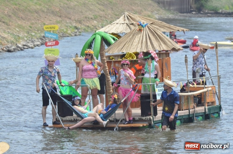 Zdjęcie w galerii na portalu naszraciborz.pl: Morsy spacerkiem, reszta powiosłuje albo włączy silniki. Skąd ruszy 22. Pływadło? wiadomości z regionu
