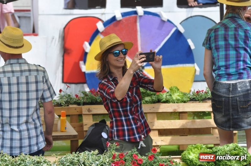 Zdjęcie w galerii na portalu naszraciborz.pl: Morsy spacerkiem, reszta powiosłuje albo włączy silniki. Skąd ruszy 22. Pływadło? wiadomości z regionu