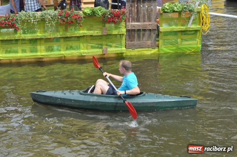 Zdjęcie w galerii na portalu naszraciborz.pl: Morsy spacerkiem, reszta powiosłuje albo włączy silniki. Skąd ruszy 22. Pływadło? wiadomości z regionu