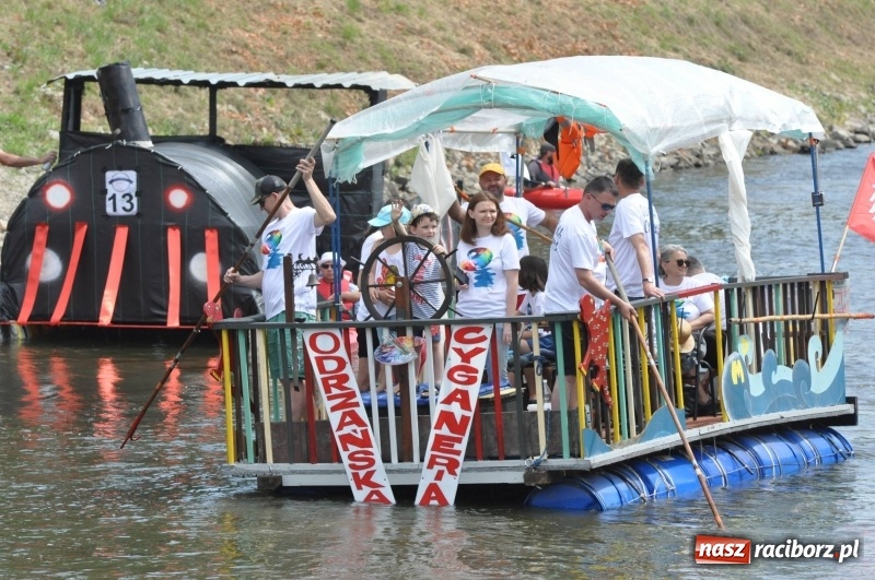 Zdjęcie w galerii na portalu naszraciborz.pl: Morsy spacerkiem, reszta powiosłuje albo włączy silniki. Skąd ruszy 22. Pływadło? wiadomości z regionu
