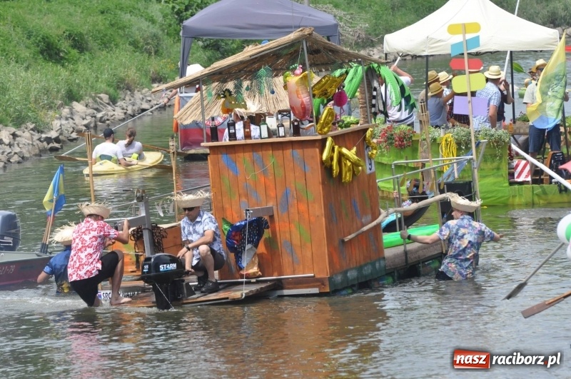 Zdjęcie w galerii na portalu naszraciborz.pl: Morsy spacerkiem, reszta powiosłuje albo włączy silniki. Skąd ruszy 22. Pływadło? wiadomości z regionu