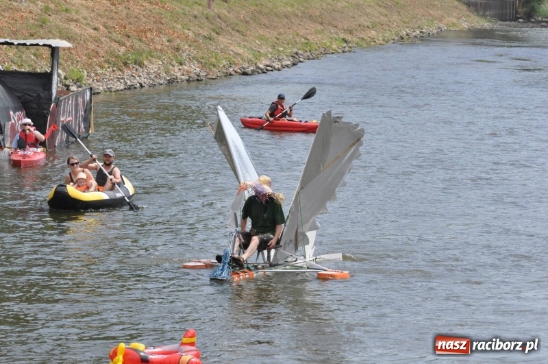 Zdjęcie w galerii na portalu naszraciborz.pl: Morsy spacerkiem, reszta powiosłuje albo włączy silniki. Skąd ruszy 22. Pływadło? wiadomości z regionu