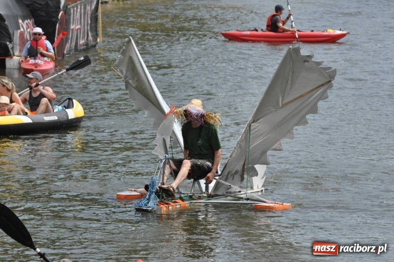 Zdjęcie w galerii na portalu naszraciborz.pl: Morsy spacerkiem, reszta powiosłuje albo włączy silniki. Skąd ruszy 22. Pływadło? wiadomości z regionu