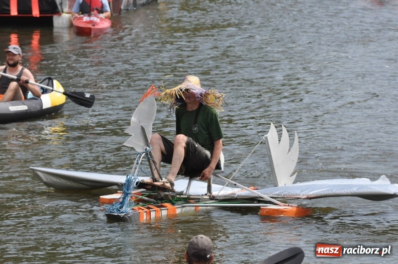 Zdjęcie w galerii na portalu naszraciborz.pl: Morsy spacerkiem, reszta powiosłuje albo włączy silniki. Skąd ruszy 22. Pływadło? wiadomości z regionu