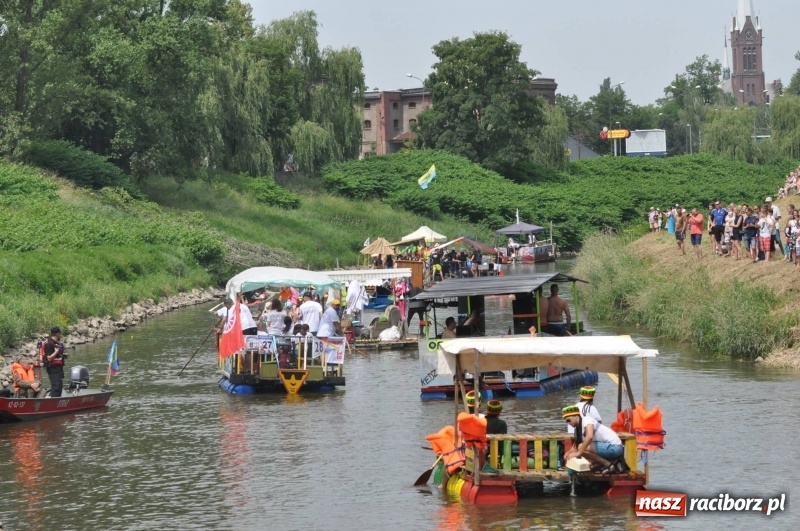 Zdjęcie w galerii na portalu naszraciborz.pl: Morsy spacerkiem, reszta powiosłuje albo włączy silniki. Skąd ruszy 22. Pływadło? wiadomości z regionu