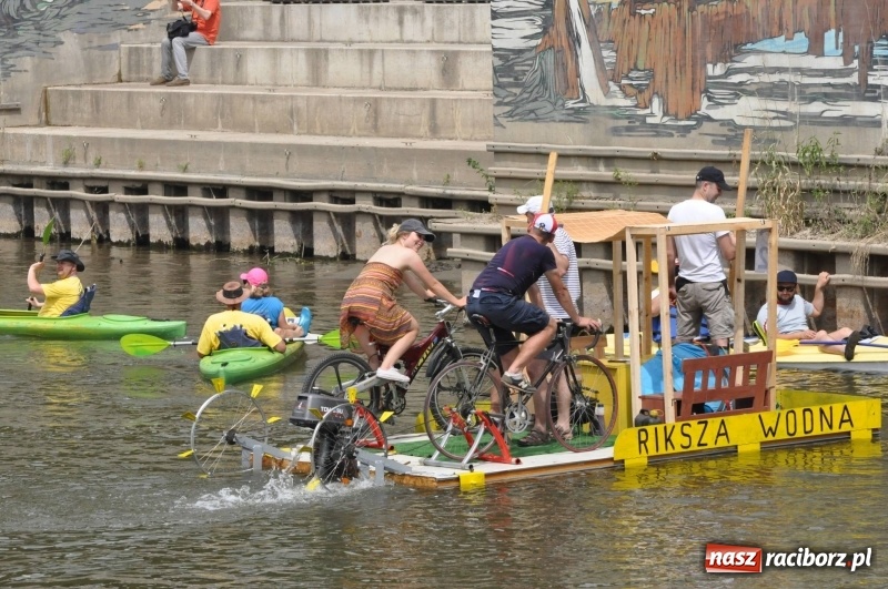 Zdjęcie w galerii na portalu naszraciborz.pl: Morsy spacerkiem, reszta powiosłuje albo włączy silniki. Skąd ruszy 22. Pływadło? wiadomości z regionu