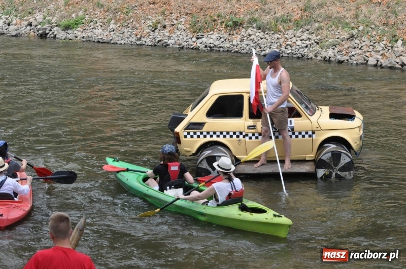 Zdjęcie w galerii na portalu naszraciborz.pl: Morsy spacerkiem, reszta powiosłuje albo włączy silniki. Skąd ruszy 22. Pływadło? wiadomości z regionu