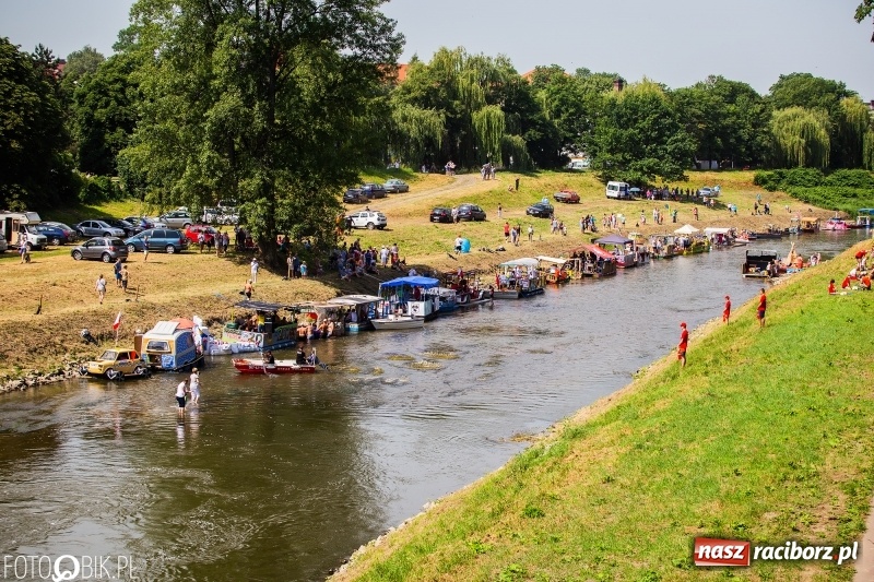 Zdjęcie w galerii na portalu naszraciborz.pl: Morsy spacerkiem, reszta powiosłuje albo włączy silniki. Skąd ruszy 22. Pływadło? wiadomości z regionu