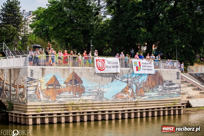 Zdjęcie w galerii na portalu naszraciborz.pl: Morsy spacerkiem, reszta powiosłuje albo włączy silniki. Skąd ruszy 22. Pływadło? wiadomości z regionu