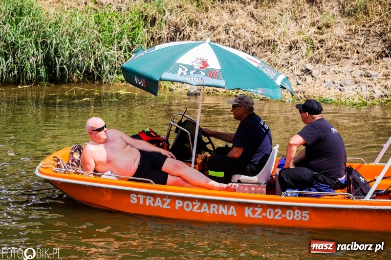 Zdjęcie w galerii na portalu naszraciborz.pl: Morsy spacerkiem, reszta powiosłuje albo włączy silniki. Skąd ruszy 22. Pływadło? wiadomości z regionu