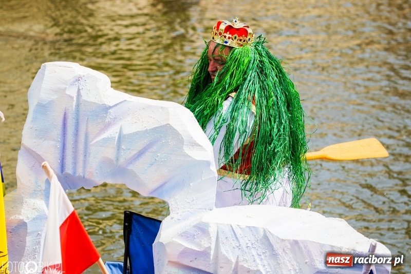 Zdjęcie w galerii na portalu naszraciborz.pl: Morsy spacerkiem, reszta powiosłuje albo włączy silniki. Skąd ruszy 22. Pływadło? wiadomości z regionu