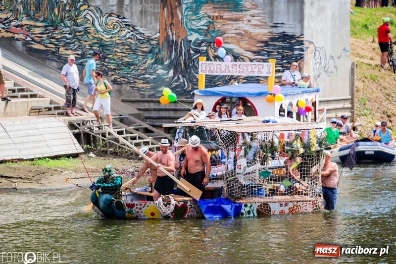 Zdjęcie w galerii na portalu naszraciborz.pl: Morsy spacerkiem, reszta powiosłuje albo włączy silniki. Skąd ruszy 22. Pływadło? wiadomości z regionu