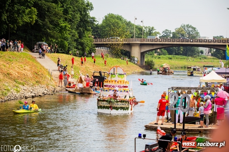 Zdjęcie w galerii na portalu naszraciborz.pl: Morsy spacerkiem, reszta powiosłuje albo włączy silniki. Skąd ruszy 22. Pływadło? wiadomości z regionu