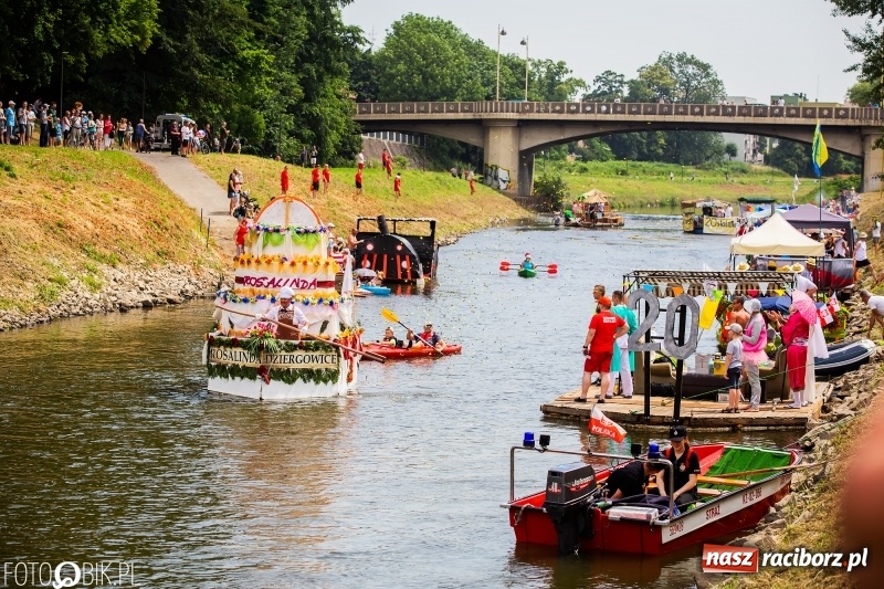 Zdjęcie w galerii na portalu naszraciborz.pl: Morsy spacerkiem, reszta powiosłuje albo włączy silniki. Skąd ruszy 22. Pływadło? wiadomości z regionu