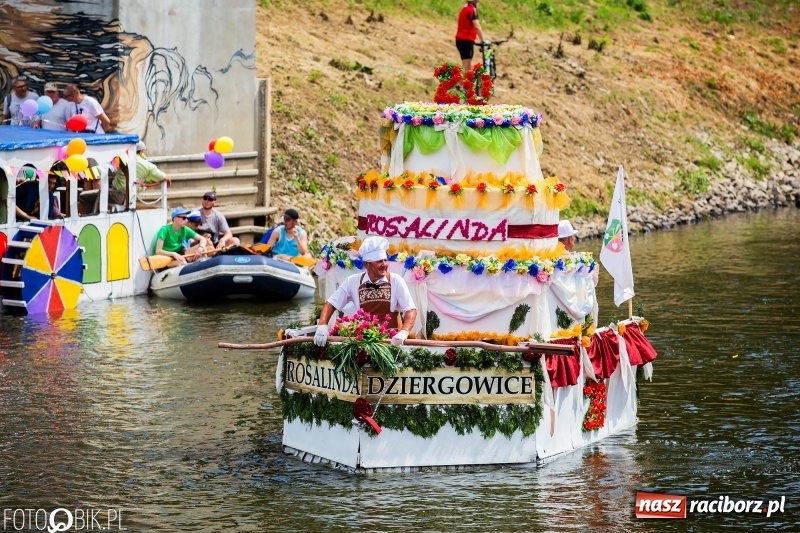 Zdjęcie w galerii na portalu naszraciborz.pl: Morsy spacerkiem, reszta powiosłuje albo włączy silniki. Skąd ruszy 22. Pływadło? wiadomości z regionu