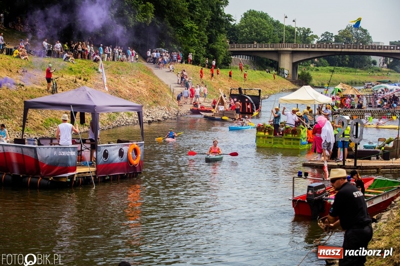 Zdjęcie w galerii na portalu naszraciborz.pl: Morsy spacerkiem, reszta powiosłuje albo włączy silniki. Skąd ruszy 22. Pływadło? wiadomości z regionu