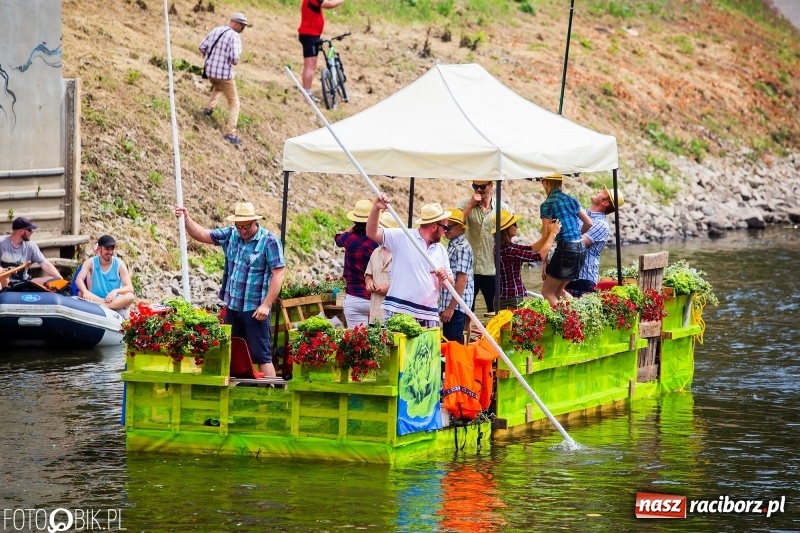 Zdjęcie w galerii na portalu naszraciborz.pl: Morsy spacerkiem, reszta powiosłuje albo włączy silniki. Skąd ruszy 22. Pływadło? wiadomości z regionu