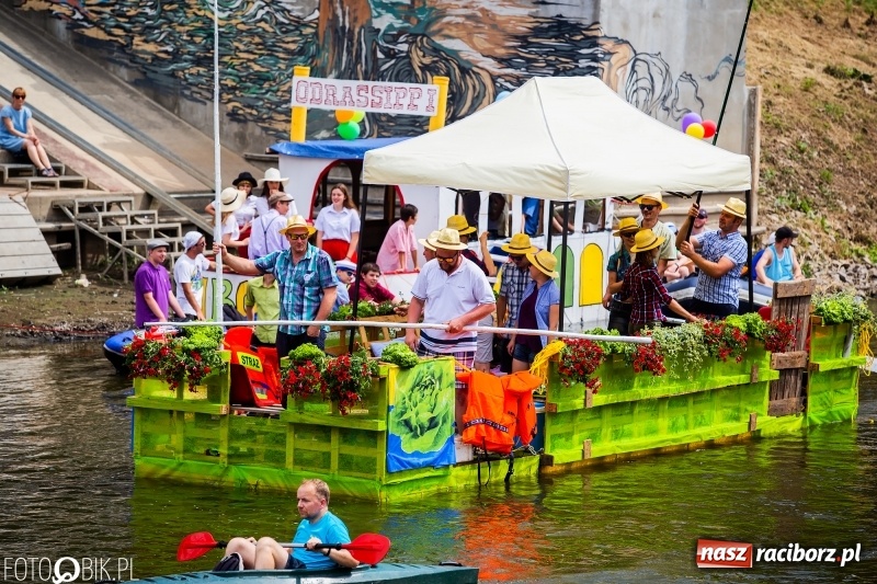 Zdjęcie w galerii na portalu naszraciborz.pl: Morsy spacerkiem, reszta powiosłuje albo włączy silniki. Skąd ruszy 22. Pływadło? wiadomości z regionu