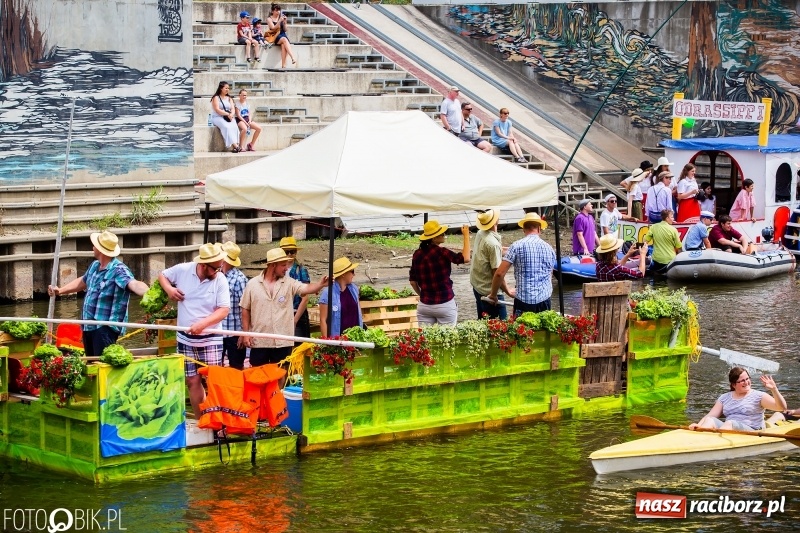 Zdjęcie w galerii na portalu naszraciborz.pl: Morsy spacerkiem, reszta powiosłuje albo włączy silniki. Skąd ruszy 22. Pływadło? wiadomości z regionu