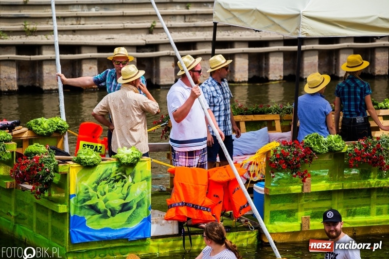 Zdjęcie w galerii na portalu naszraciborz.pl: Morsy spacerkiem, reszta powiosłuje albo włączy silniki. Skąd ruszy 22. Pływadło? wiadomości z regionu