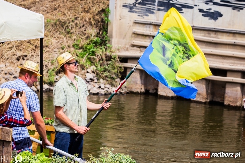 Zdjęcie w galerii na portalu naszraciborz.pl: Morsy spacerkiem, reszta powiosłuje albo włączy silniki. Skąd ruszy 22. Pływadło? wiadomości z regionu