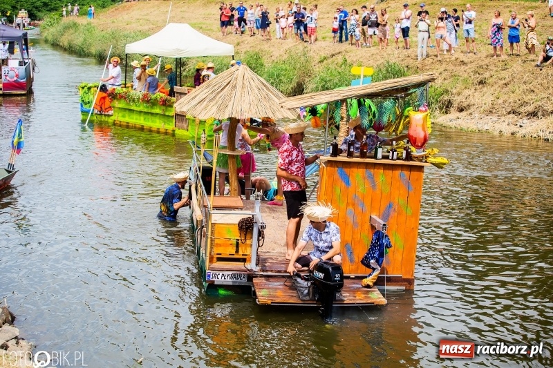 Zdjęcie w galerii na portalu naszraciborz.pl: Morsy spacerkiem, reszta powiosłuje albo włączy silniki. Skąd ruszy 22. Pływadło? wiadomości z regionu