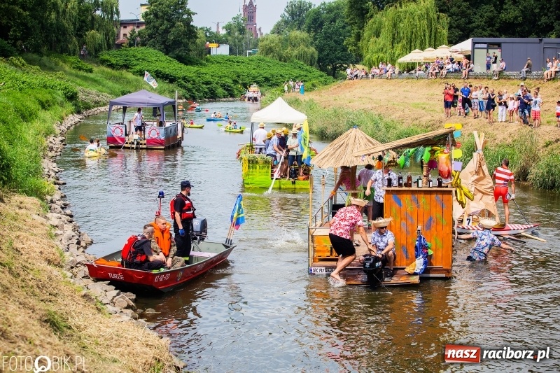 Zdjęcie w galerii na portalu naszraciborz.pl: Morsy spacerkiem, reszta powiosłuje albo włączy silniki. Skąd ruszy 22. Pływadło? wiadomości z regionu