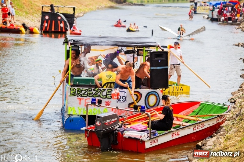 Zdjęcie w galerii na portalu naszraciborz.pl: Morsy spacerkiem, reszta powiosłuje albo włączy silniki. Skąd ruszy 22. Pływadło? wiadomości z regionu