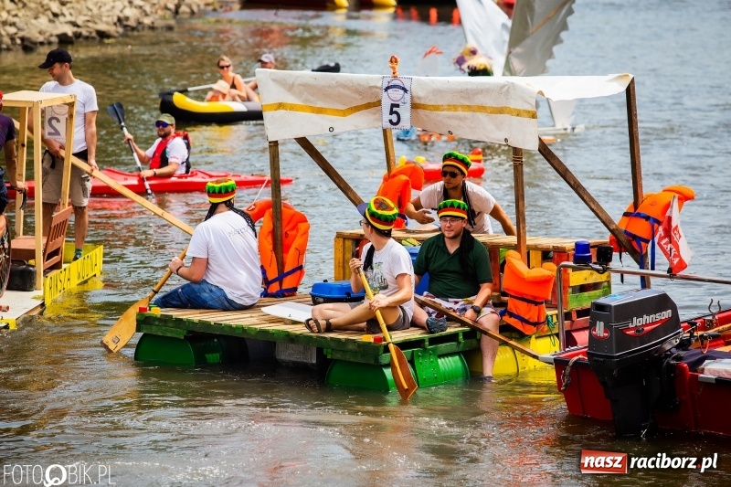 Zdjęcie w galerii na portalu naszraciborz.pl: Morsy spacerkiem, reszta powiosłuje albo włączy silniki. Skąd ruszy 22. Pływadło? wiadomości z regionu