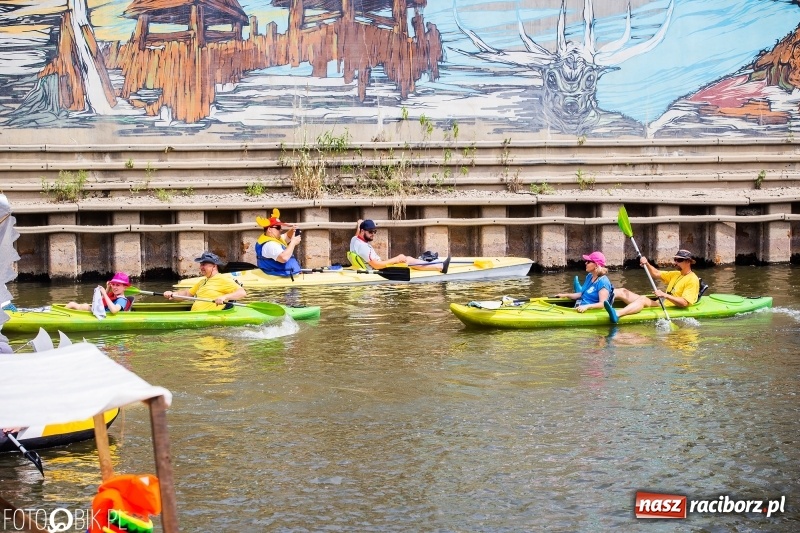 Zdjęcie w galerii na portalu naszraciborz.pl: Morsy spacerkiem, reszta powiosłuje albo włączy silniki. Skąd ruszy 22. Pływadło? wiadomości z regionu