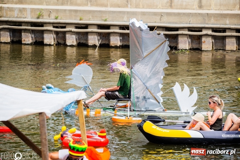Zdjęcie w galerii na portalu naszraciborz.pl: Morsy spacerkiem, reszta powiosłuje albo włączy silniki. Skąd ruszy 22. Pływadło? wiadomości z regionu
