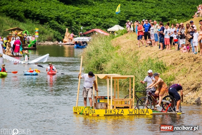 Zdjęcie w galerii na portalu naszraciborz.pl: Morsy spacerkiem, reszta powiosłuje albo włączy silniki. Skąd ruszy 22. Pływadło? wiadomości z regionu