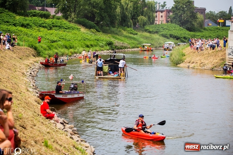 Zdjęcie w galerii na portalu naszraciborz.pl: Morsy spacerkiem, reszta powiosłuje albo włączy silniki. Skąd ruszy 22. Pływadło? wiadomości z regionu