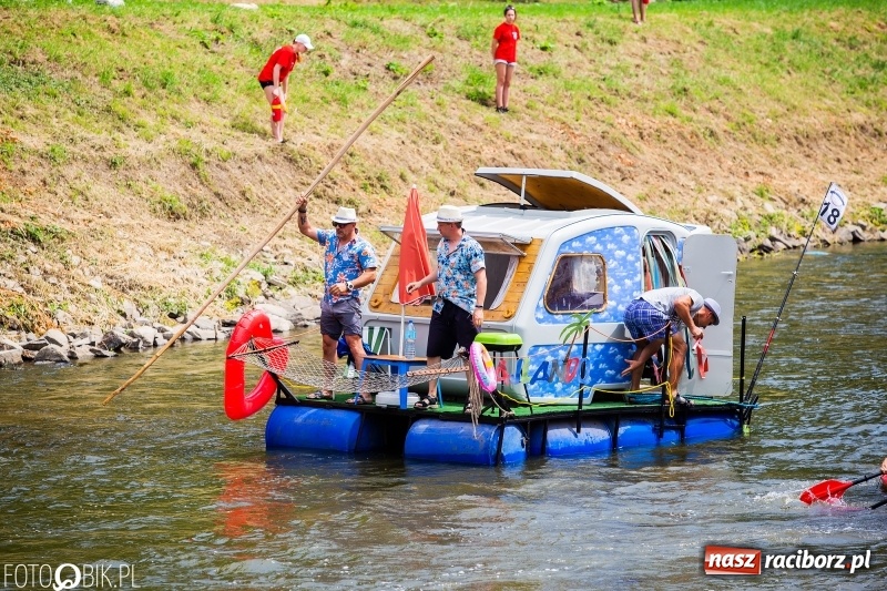 Zdjęcie w galerii na portalu naszraciborz.pl: Morsy spacerkiem, reszta powiosłuje albo włączy silniki. Skąd ruszy 22. Pływadło? wiadomości z regionu