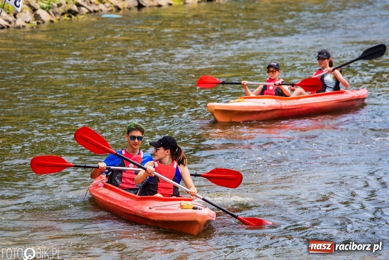 Zdjęcie w galerii na portalu naszraciborz.pl: Morsy spacerkiem, reszta powiosłuje albo włączy silniki. Skąd ruszy 22. Pływadło? wiadomości z regionu