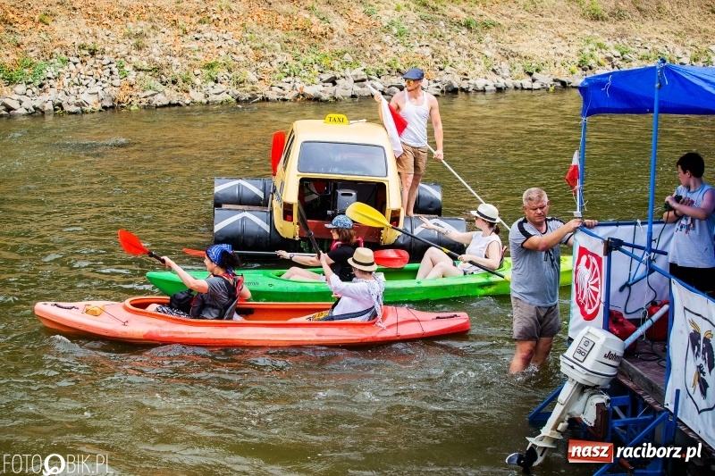 Zdjęcie w galerii na portalu naszraciborz.pl: Morsy spacerkiem, reszta powiosłuje albo włączy silniki. Skąd ruszy 22. Pływadło? wiadomości z regionu