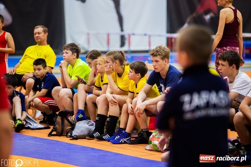 Zdjęcie w galerii na portalu naszraciborz.pl: III Memoriał zapaśniczy im. Grzegorza Pieronkiewicza [FOTO] wiadomości z regionu