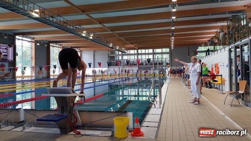 Zdjęcie w galerii na portalu naszraciborz.pl: Pływanie. Raciborzanie najlepsi na Śląsku  wiadomości z regionu