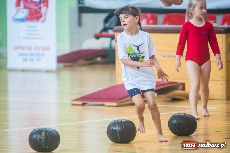 Zdjęcie w galerii na portalu naszraciborz.pl: Gimnastyczny tor przeszkód i pokaz umiejętności akrobatycznych w Arenie Rafako [FOTO i WIDEO] wiadomości z regionu