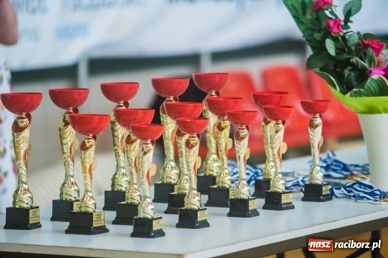 Zdjęcie w galerii na portalu naszraciborz.pl: Gimnastyczny tor przeszkód i pokaz umiejętności akrobatycznych w Arenie Rafako [FOTO i WIDEO] wiadomości z regionu