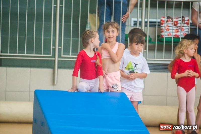 Zdjęcie w galerii na portalu naszraciborz.pl: Gimnastyczny tor przeszkód i pokaz umiejętności akrobatycznych w Arenie Rafako [FOTO i WIDEO] wiadomości z regionu